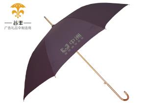 中洲公园直杆伞